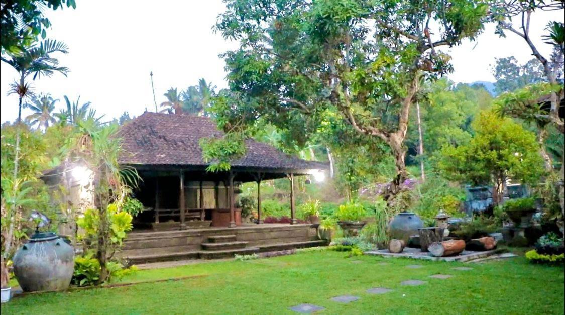 Mesari Cottage Guest House Pabean Buleleng Exterior photo