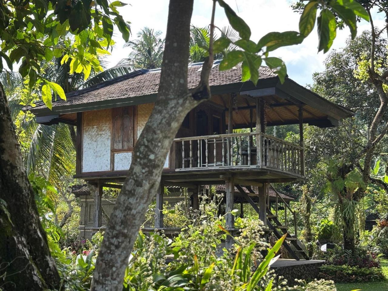 Mesari Cottage Guest House Pabean Buleleng Exterior photo